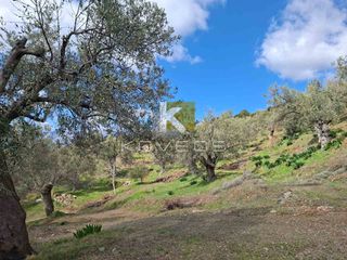 Αγροτεμάχια 12.000 τ.μ. προς πώληση, Σέτα-thumb-7