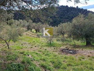 Αγροτεμάχια 12.000 τ.μ. προς πώληση, Σέτα-thumb-5