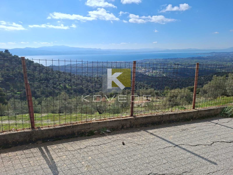 Αγροτεμάχια 12.000 τ.μ. πρός πώληση, Εύβοια, Αμάρυνθος