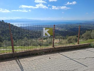 Αγροτεμάχια 12.000 τ.μ. προς πώληση, Σέτα-thumb-3