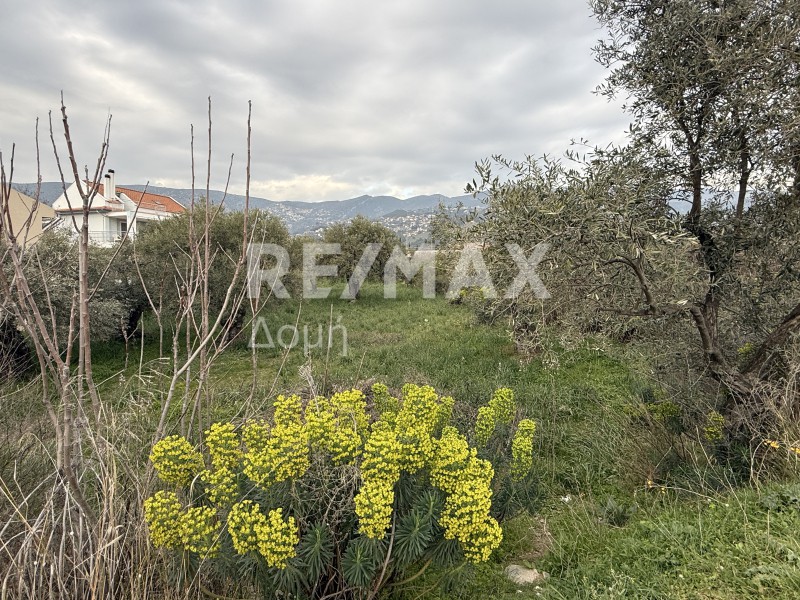 Οικόπεδο 333 τ.μ. προς πώληση, Καραγάτς