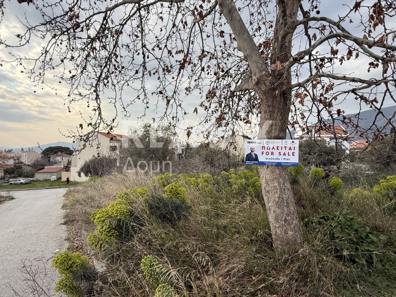 Οικόπεδο 333 τ.μ. προς πώληση, Καραγάτς