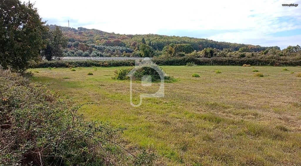 Αγροτεμάχια 13.323 τ.μ. προς πώληση, Κανάλι