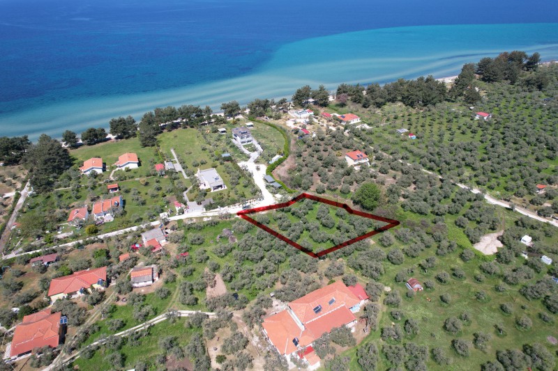 Αγροτεμάχια 2.155 τ.μ. προς πώληση, Σκάλα Ραχωνίου