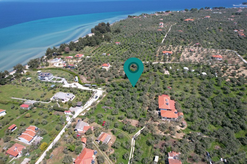 Αγροτεμάχια 2.155 τ.μ. προς πώληση, Σκάλα Ραχωνίου