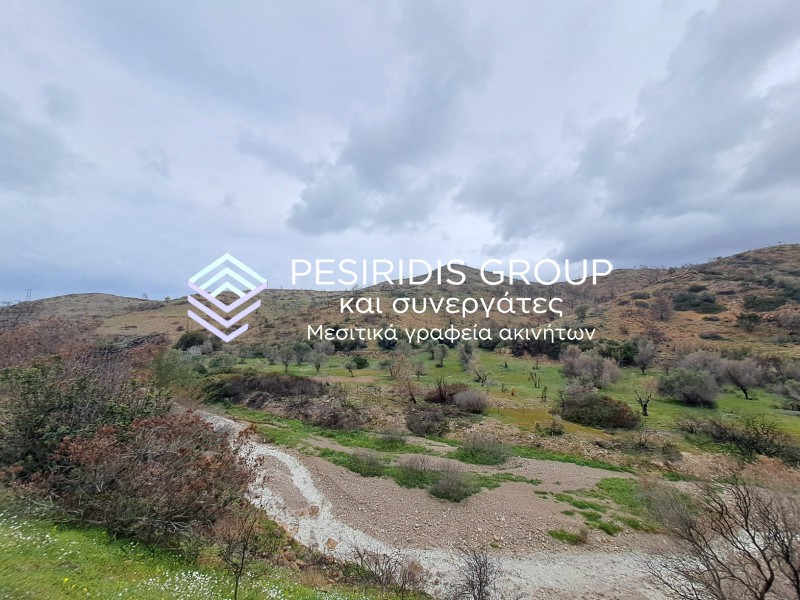 Αγροτεμάχια 21.402 τ.μ. προς πώληση, Αμάνη