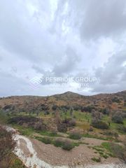 Αγροτεμάχια 21.402 τ.μ. για πώληση, Ν. Χίου, Χίος-thumb-8