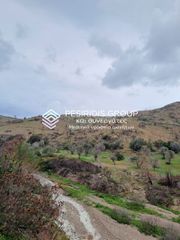 Αγροτεμάχια 21.402 τ.μ. για πώληση, Ν. Χίου, Χίος-thumb-11
