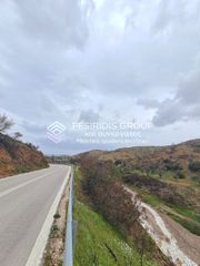Αγροτεμάχια 21.402 τ.μ. για πώληση, Ν. Χίου, Χίος-thumb-9