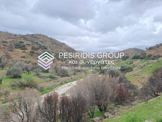 Αγροτεμάχια 21.402 τ.μ. για πώληση, Ν. Χίου, Χίος-thumb-2