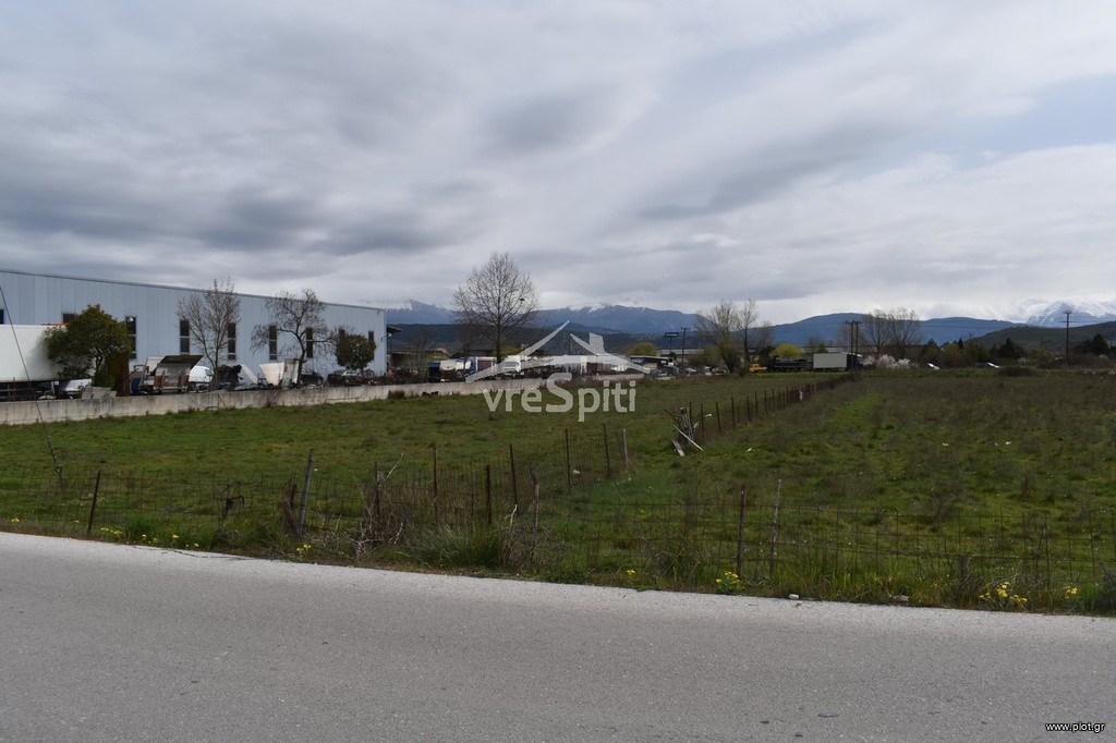 Αγροτεμάχια 4.500 τ.μ. προς πώληση, Πεδινή