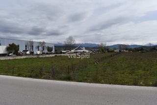 Αγροτεμάχια 4.500 τ.μ. για πώληση