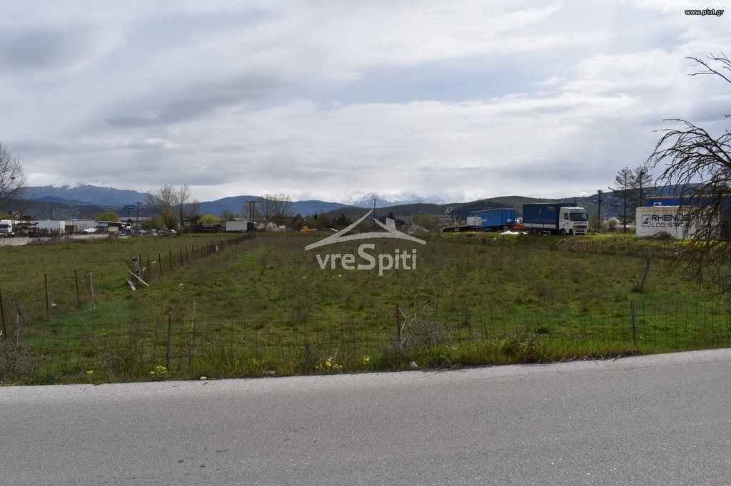 Αγροτεμάχια 4.500 τ.μ. προς πώληση, Πεδινή