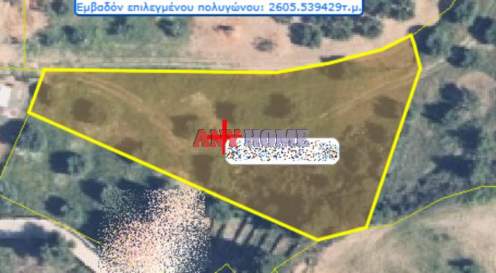 Αγροτεμάχια 2.374 τ.μ. προς πώληση, Νέα Σκιώνη