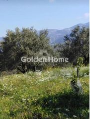 Οικόπεδο 24.500 τ.μ. προς πώληση, Αμφιθέα Δίρφυος-thumb-1