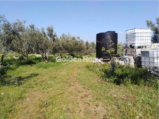 Οικόπεδο 24.500 τ.μ. προς πώληση, Αμφιθέα Δίρφυος-thumb-8