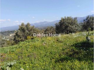Οικόπεδο 24.500 τ.μ. προς πώληση, Αμφιθέα Δίρφυος-thumb-5