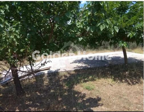 Οικόπεδο 24.500 τ.μ. προς πώληση, Αμφιθέα Δίρφυος