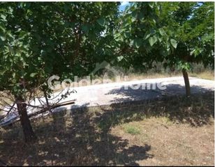 Οικόπεδο 24.500 τ.μ. για πώληση
