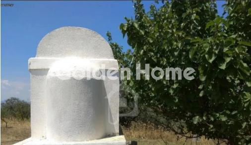 Οικόπεδο 24.500 τ.μ. προς πώληση, Αμφιθέα Δίρφυος