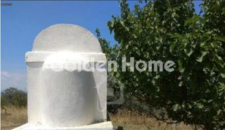 Οικόπεδο 24.500 τ.μ. προς πώληση, Αμφιθέα Δίρφυος-thumb-4