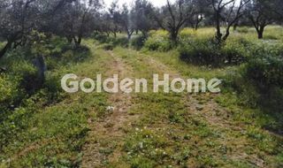 Οικόπεδο 24.500 τ.μ. προς πώληση, Αμφιθέα Δίρφυος-thumb-2