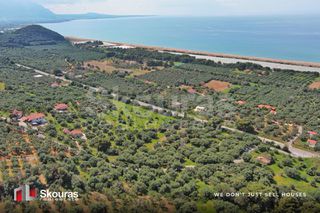 Οικόπεδο 6.397,47 τ.μ. για πώληση, Μεσσηνία, Αυλώνα-thumb-6