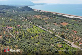 Οικόπεδο 6.397,47 τ.μ. για πώληση, Μεσσηνία, Αυλώνα-thumb-8