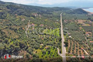 Οικόπεδο 6.397,47 τ.μ. για πώληση, Μεσσηνία, Αυλώνα-thumb-9