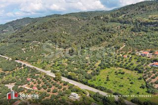 Οικόπεδο 6.397,47 τ.μ. για πώληση, Μεσσηνία, Αυλώνα-thumb-16