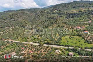 Οικόπεδο 6.397,47 τ.μ. για πώληση, Μεσσηνία, Αυλώνα-thumb-12