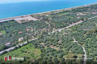 Οικόπεδο 6.397,47 τ.μ. για πώληση, Μεσσηνία, Αυλώνα-thumb-20
