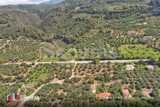 Οικόπεδο 6.397,47 τ.μ. για πώληση, Μεσσηνία, Αυλώνα-thumb-13
