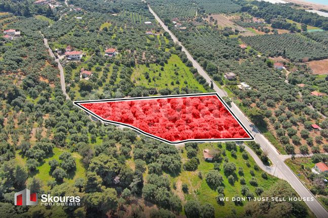 Οικόπεδο 6.397,47 τ.μ. για πώληση, Μεσσηνία, Αυλώνα