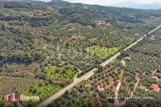 Οικόπεδο 6.397,47 τ.μ. για πώληση, Μεσσηνία, Αυλώνα-thumb-10