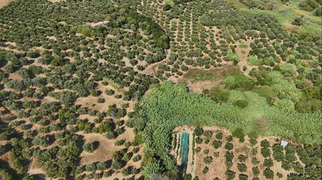 Οικόπεδο 4.061 τ.μ. για πώληση