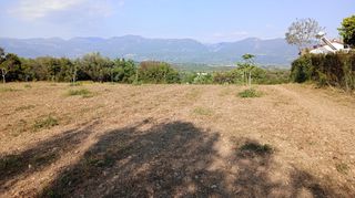 Οικόπεδο 4.000 τ.μ. για πώληση, Μεσσηνία, Ανδρούσα-thumb-7