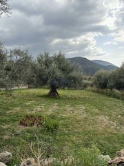 Οικόπεδο 550 τ.μ. για πώληση