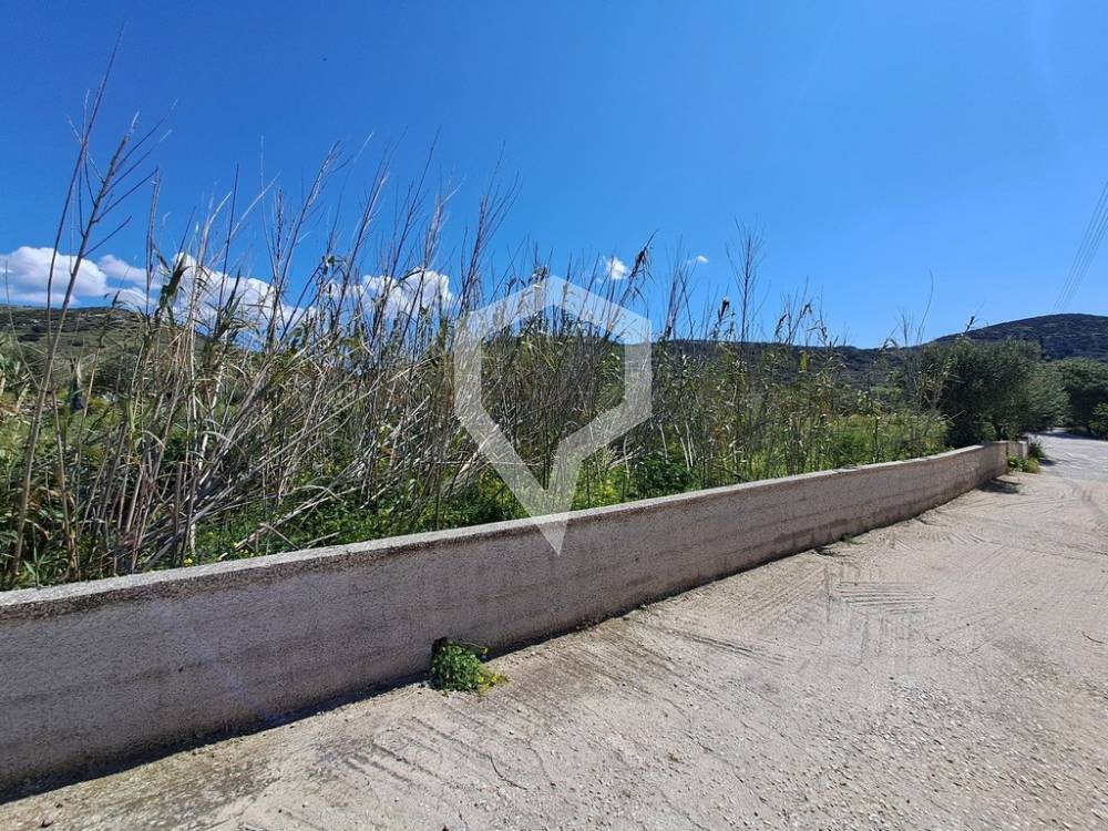 Οικόπεδο 4.660 τ.μ. προς πώληση, Ποσειδωνία Σύρου