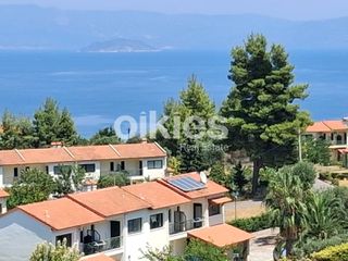 Αγροτεμάχια 4.000 τ.μ. για πώληση