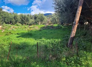 Οικόπεδο 502 τ.μ. για πώληση