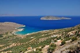 Οικόπεδο 5.000 τ.μ. για πώληση