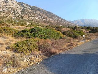 Οικόπεδο 5.000 τ.μ. για πώληση, Ν. Λασιθίου, Ιεράπετρα-thumb-5