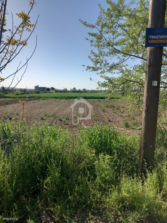 Αγροτεμάχια 2.500 τ.μ. πρός πώληση, Ν. Τρικάλων, Βασιλική