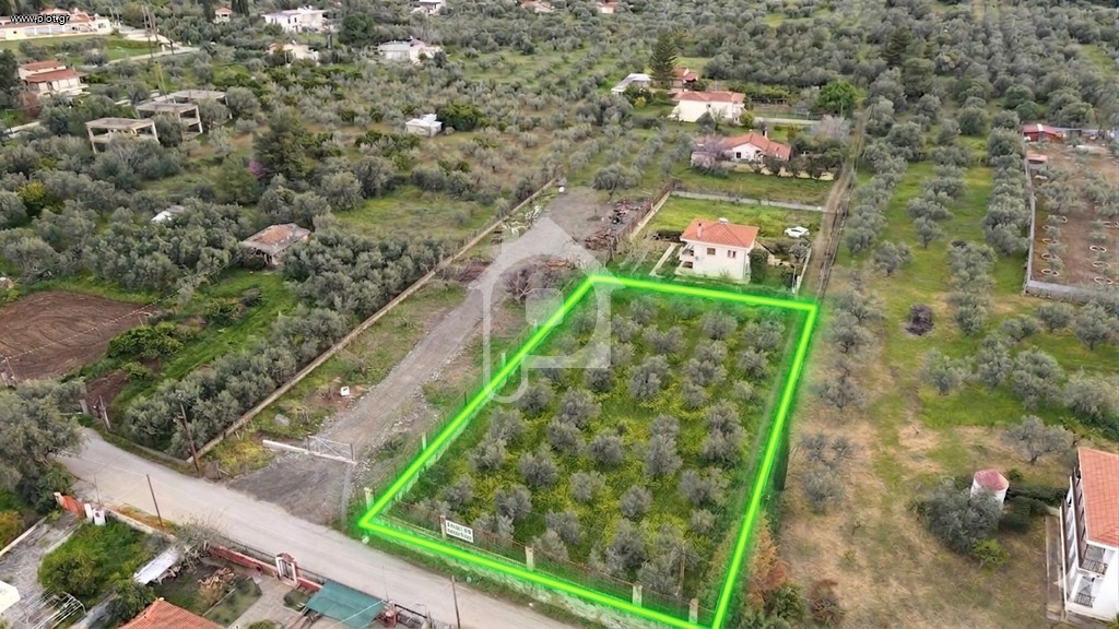 Αγροτεμάχια 2.000 τ.μ. προς πώληση, Γανίστα