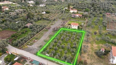 Αγροτεμάχια 2.000 τ.μ. προς πώληση
