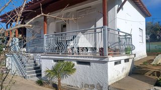 Building 295 sqm for sale