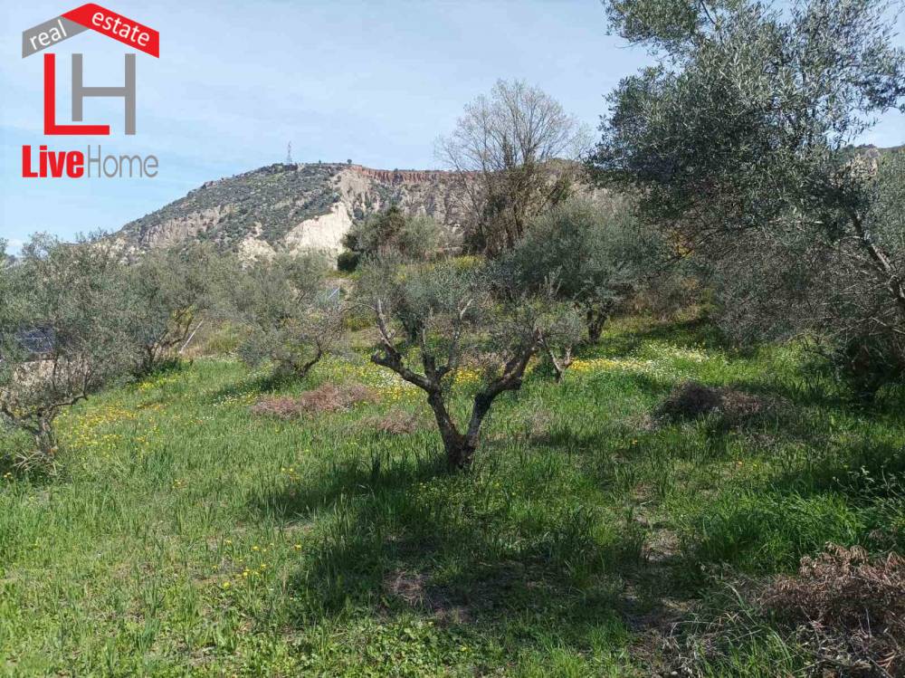 Αγροτεμάχια 1.150 τ.μ. πρός πώληση, Κορινθία, Ξυλόκαστρο