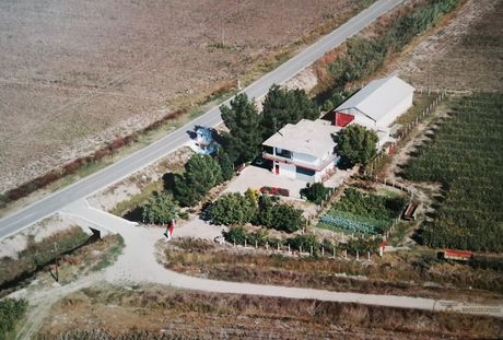 Farm 29.500 sqm for sale