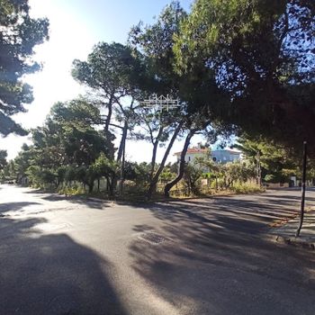 Land plot 1.039 sqm for sale